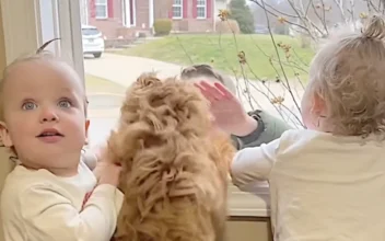 Dog and Toddlers Wait for Brother at Window