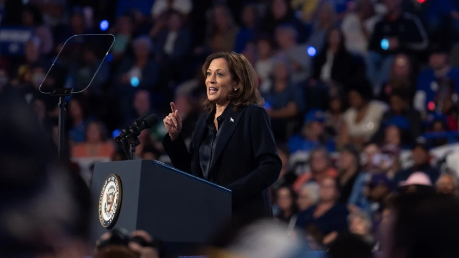 Obama, Clinton to Provide Much-Needed Boost to Harris Campaign: Political Analyst