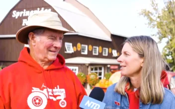 A Family Farm Opens Its Doors to the Public