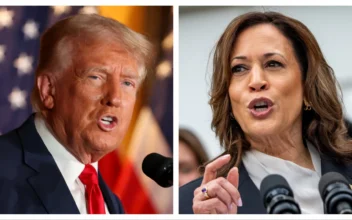 Trump, Harris Trying to Reach ‘Everyday Americans’ in Final Weeks: Political History Professor