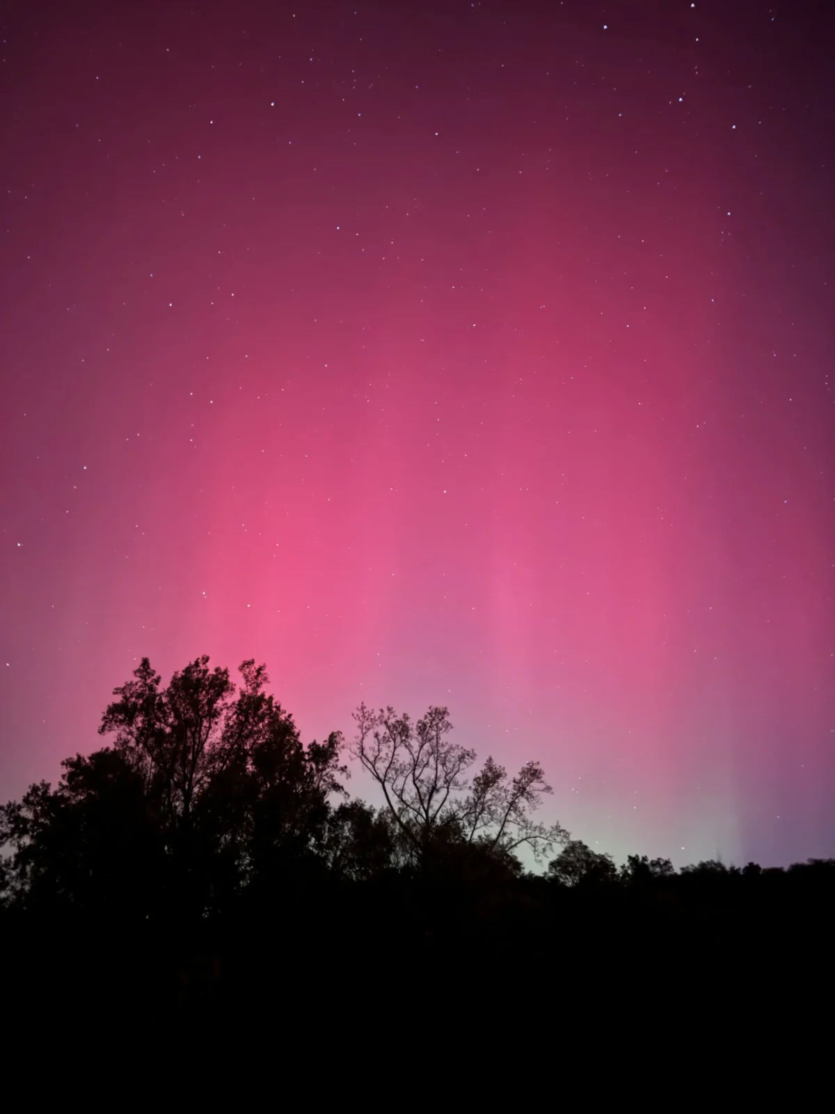 In Photos Northern and Southern Lights Decorate Night Sky NTD