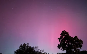 Missed Out on the Northern Lights? Scientists Expect More Solar Storms to Produce Auroras