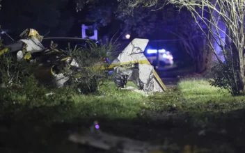 Pilot Killed and Passenger Injured as Small Plane Crashes in Georgia Neighborhood