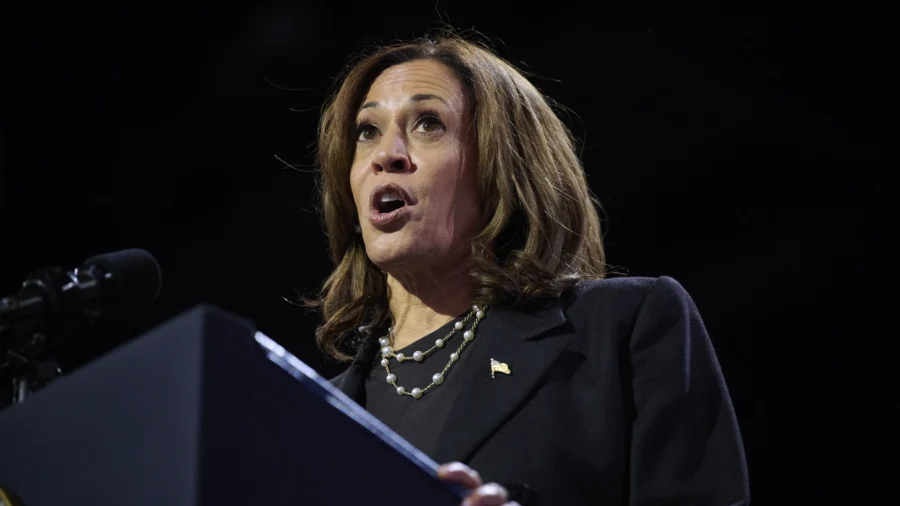 Harris Hasn't Been Effective at Mobilizing Black Male Voters: Political Strategist