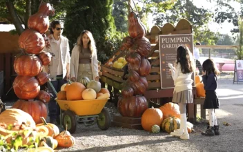 Autumn’s Harvest: Celebrating Thanksgiving in Canada