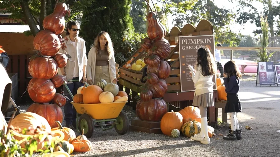 Autumn's Harvest: Celebrating Thanksgiving in Canada