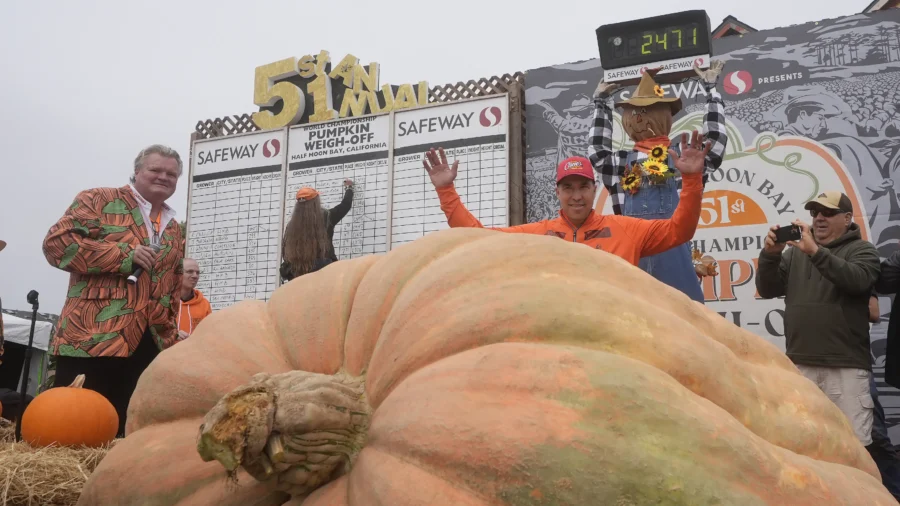 Pumpkin Weighing 2,471 Pounds Wins California Contest