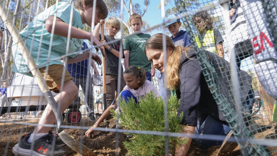 Southern California School Plants ‘Moon Tree’ Grown With Seeds Flown in Space