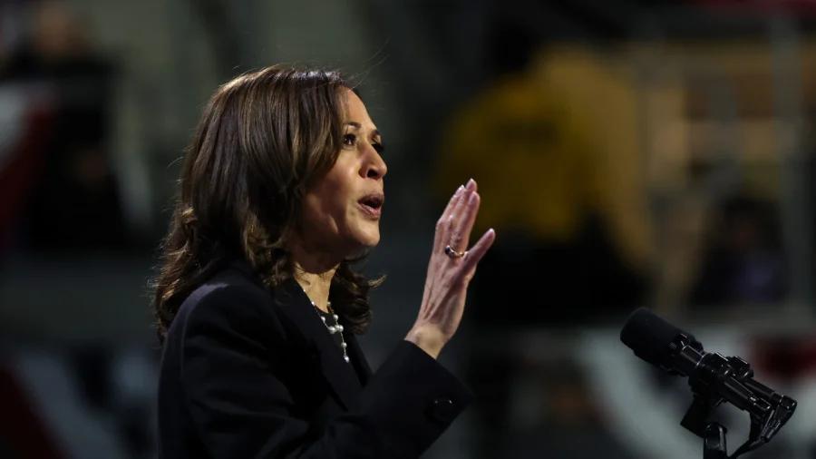 Harris Campaign Could Gain Votes From Plan for Black Businesses, Fox News Interview: Analyst