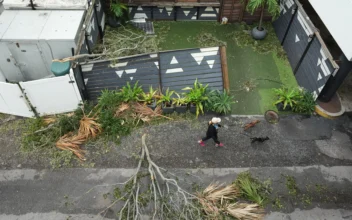 Man Charged With Abandoning Dog in Floodwaters as Florida Residents Evacuated Ahead of Hurricane