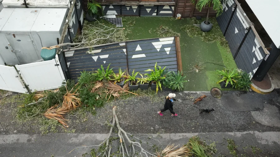 Man Charged With Abandoning Dog in Floodwaters as Florida Residents Evacuated Ahead of Hurricane