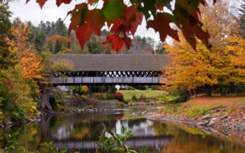 Leaf-Peepers Gather in Northeast to Admire Fall’s Vibrant Spectacle