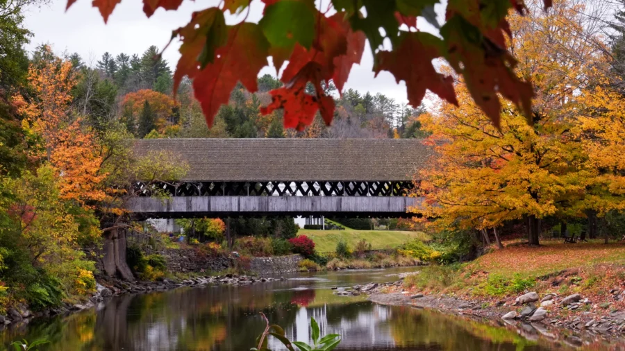 Leaf-Peepers Gather in Northeast to Admire Fall’s Vibrant Spectacle