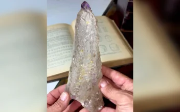 Australian Rockhound Unearths Crystal Worth Thousands