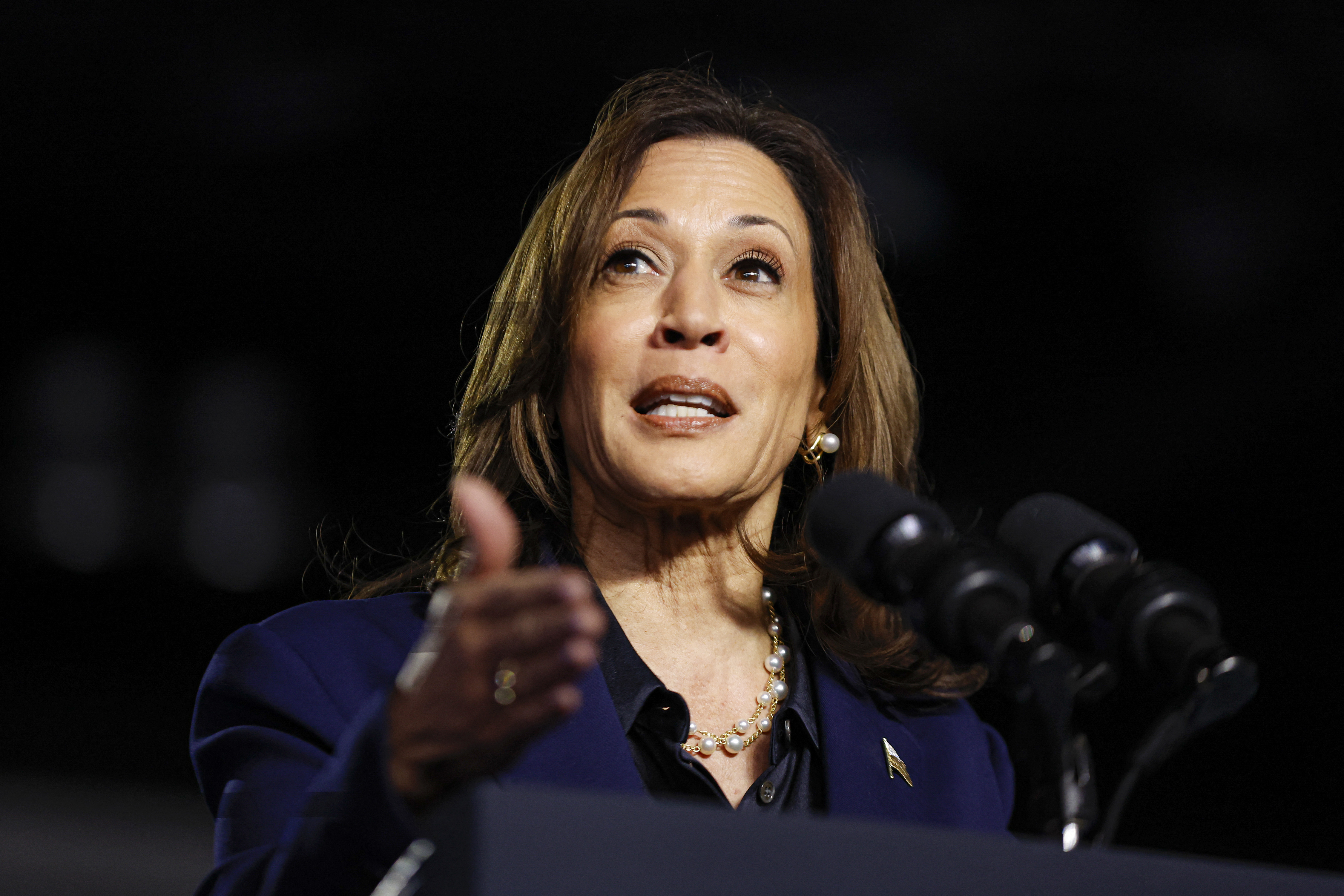 Harris Rallies in Grand Rapids, Michigan NTD