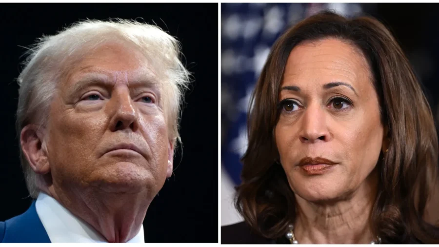 Hispanic Business Owners Identify With Harris, But Trust Trump More on Economy: Business Council CEO