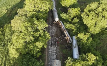 Train Hits and Kills 2 Wild Elephants in Sri Lanka as 2 of Its Fuel-Carrying Tankers Derail