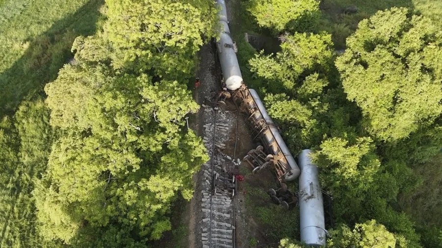 Train Hits and Kills 2 Wild Elephants in Sri Lanka as 2 of Its Fuel-Carrying Tankers Derail