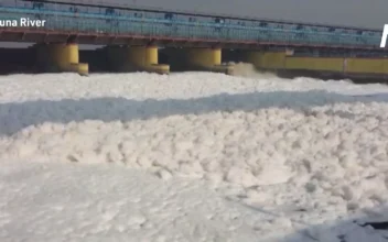 India’s Yamuna River Blanketed by Thick Toxic Foam