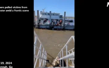 Chaotic Scene as Victims Pulled From Water After Georgia Walkway Collapse