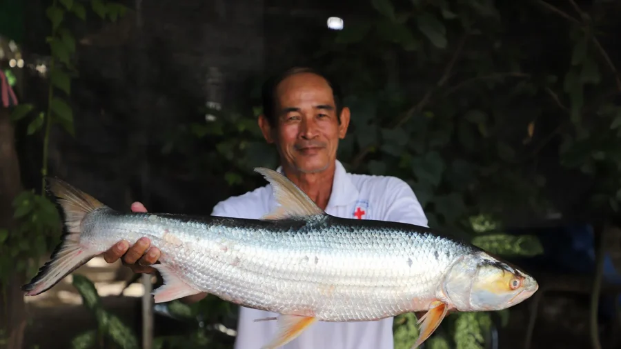 Scientists Feared This Huge ‘Ghost’ Fish Was Extinct; It Was Just Seen After Almost 20 Years