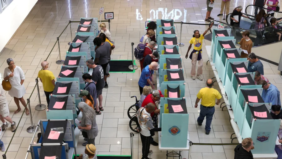 Massive Efforts to Get out the Vote Account for Strong Early Voting Numbers: Political Strategist