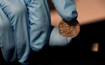 1,000-Year-Old Coin Hoard Unearthed by Metal Detectorists Sells for $5.6 Million