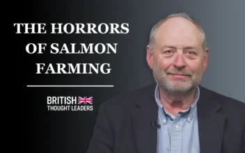 Salmon Farming Is Wiping Out Wild Fish and Damaging Our Environment: Nick MeashamSalmon Farming Is Wiping Out Wild Fish and Damaging Our Environment: Nick Measham