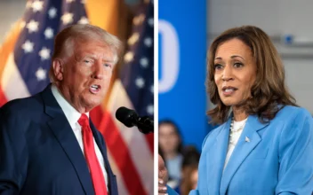 Trump’s and Harris’s Media and Ground-Game Operation Strategies Analyzed