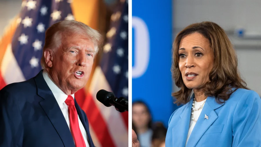 Trump's and Harris's Media and Ground-Game Operation Strategies Analyzed