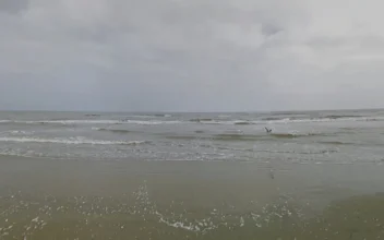 Missing SpaceX Employee Found Dead After Getting Into Difficulties Swimming Off Texas Beach