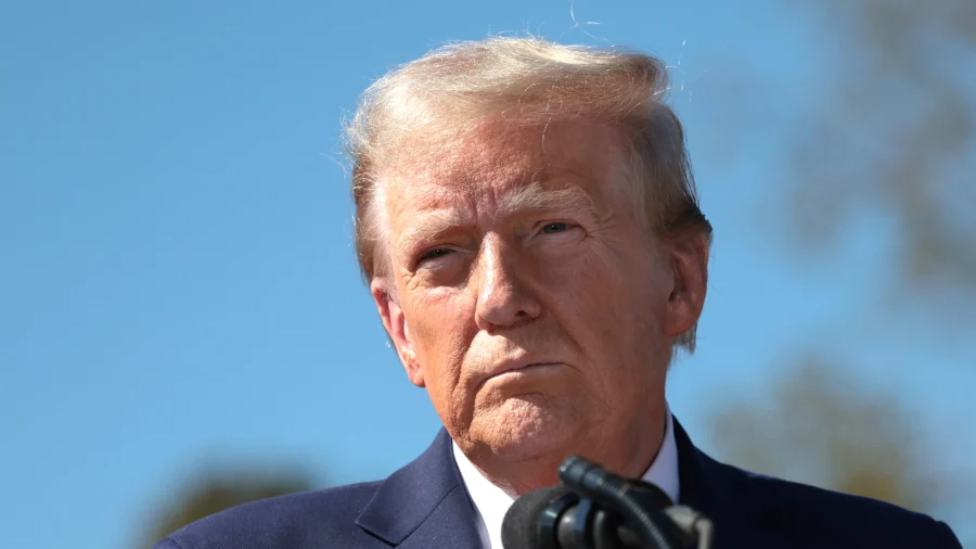 Survey of Voters Suggests 2024 Election Will Act as a Referendum on Trump, Not Harris: Reporter