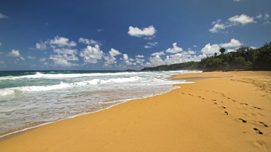 Hawaii Tourist Dies After Being Swept Out to Sea