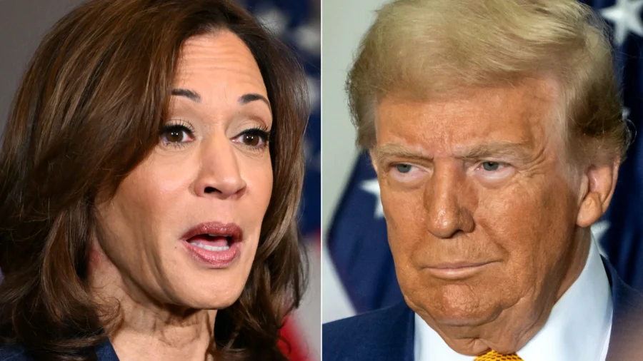 Democratic and Republican Strategists on Harris's and Trump's Focus in Final Statements