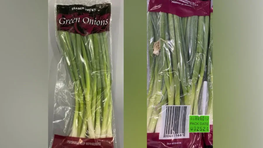 Church Brothers Farms Recall Green Onions Due to Possible Salmonella Contamination