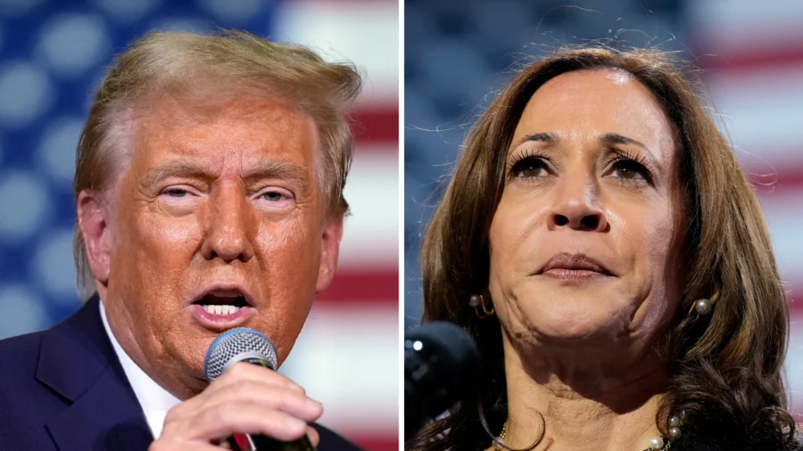 Presidential Campaigns Trying to Reiterate Messaging in Final Week of Race: Democratic Strategist