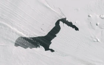 Antarctica Glacier Appears to Be Smoking in Rare View From Space