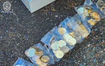 Australian Police Recover 40,000 Stolen ‘Bluey’ Coins