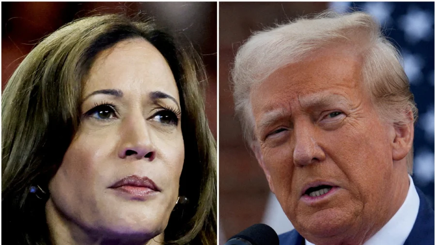 Panel Analysis: 'Democrats Opened the Gates Too Much,' Trump Scoring Points on Border All Over Country