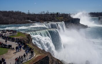 A Mother Intentionally Went Over Niagara Falls With Her 2 Children, Police Say