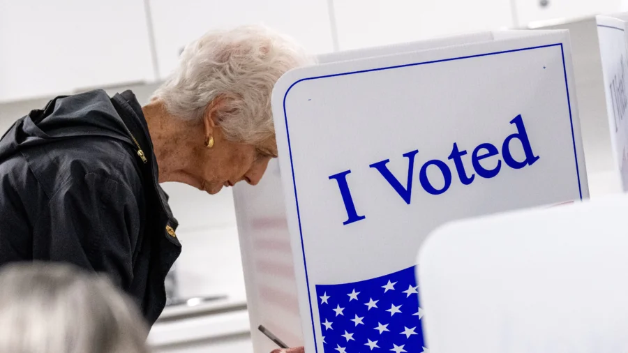 Virginia Voter Roll Cleanup to Proceed After Election Law Misinterpreted: Former Election Commissioner