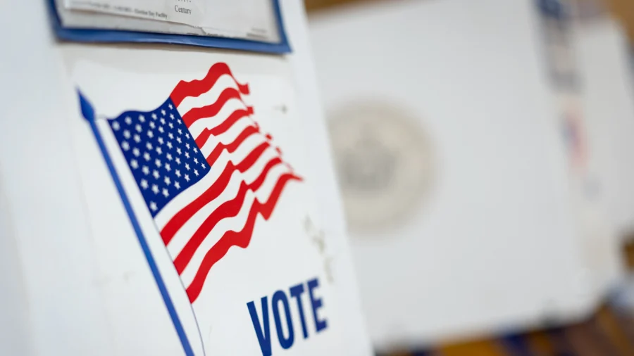 'The Constitution Is Very Clear,' Only Citizens Can Vote in NYC: Legal Analyst
