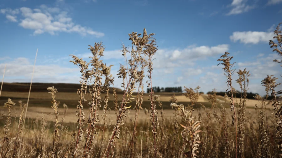 Chinese Regime Linked to Firms Buying a Shocking Amount of US Farmland: Journalist