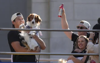 Shohei Ohtani Brings His Dog and Addresses Crowd in English as Dodgers Celebrate World Series Title