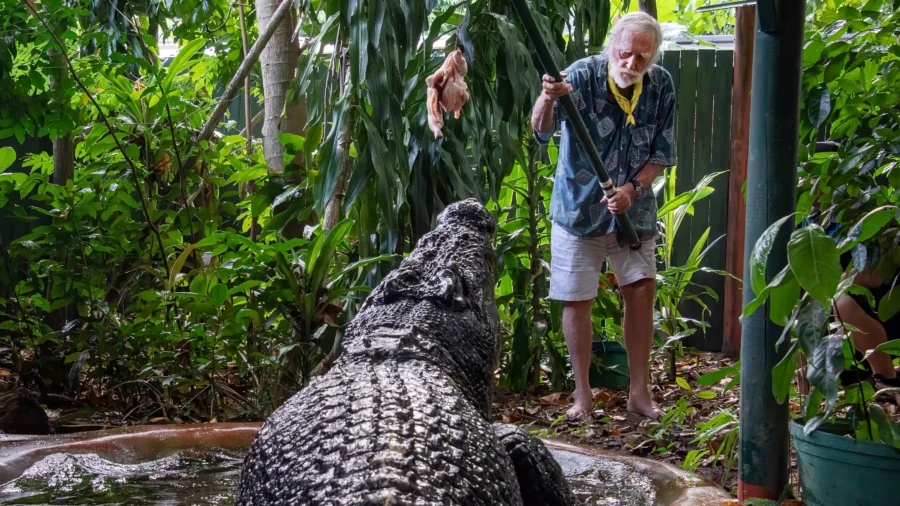 World’s Largest Captive Crocodile Cassius Dies in Australia