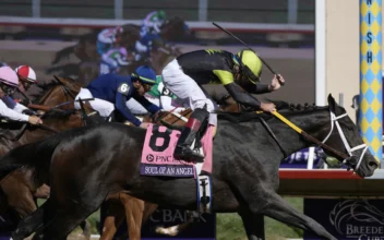 Sierra Leone Wins $7 Million Breeders’ Cup Classic After Suffering Close Loss in Kentucky Derby