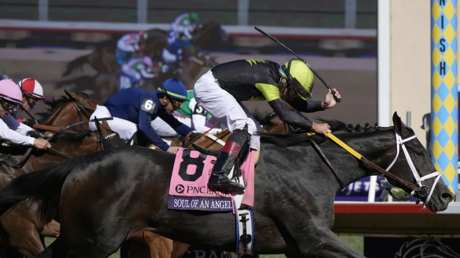 Sierra Leone Wins $7 Million Breeders’ Cup Classic After Suffering Close Loss in Kentucky Derby