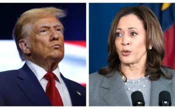 Harris and Trump Start Final Push on Last Sunday Before Election