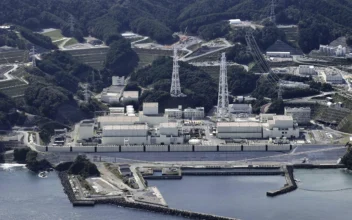 Japanese Nuclear Reactor That Restarted 13 Years After Fukushima Disaster Is Shut Down Again