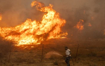 132 Structures Destroyed in Southern California Wildfire as Fierce Winds Expected to Subside